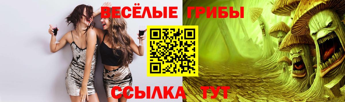 Егорьевск  Псилоцибиновые грибы Cubensis  Вход с VPN 